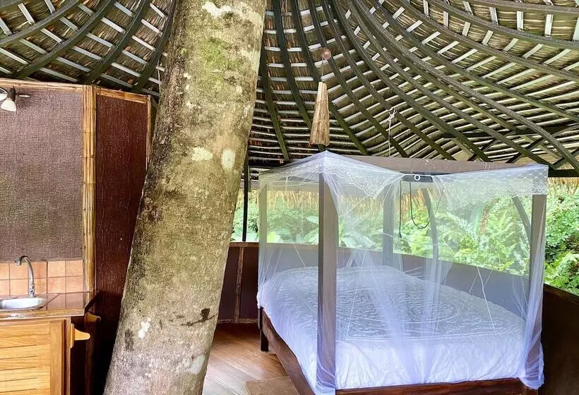 Cabanas Rio Encantado