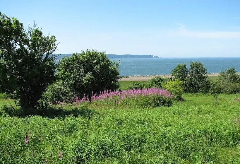Cape Split View Cottages