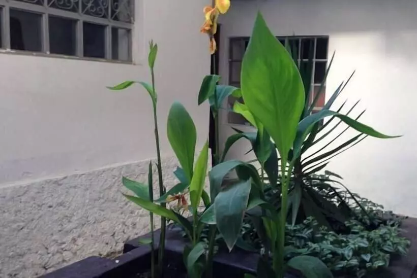 Chacha International   Hostel