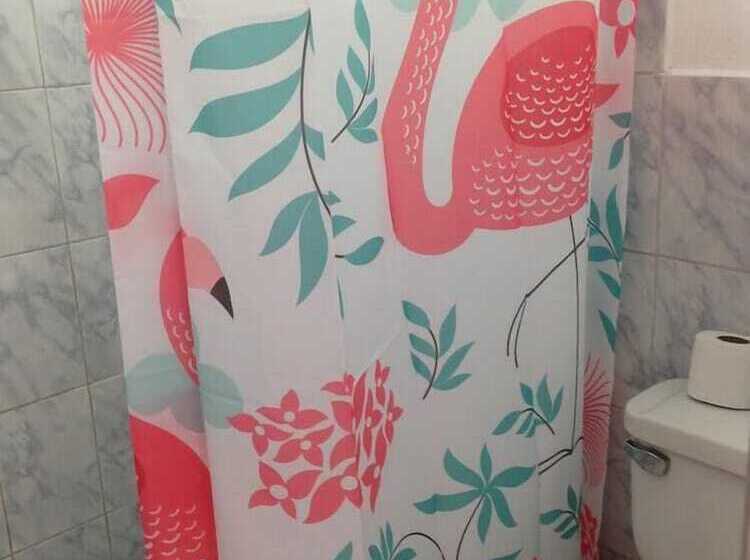 Chacha International   Hostel