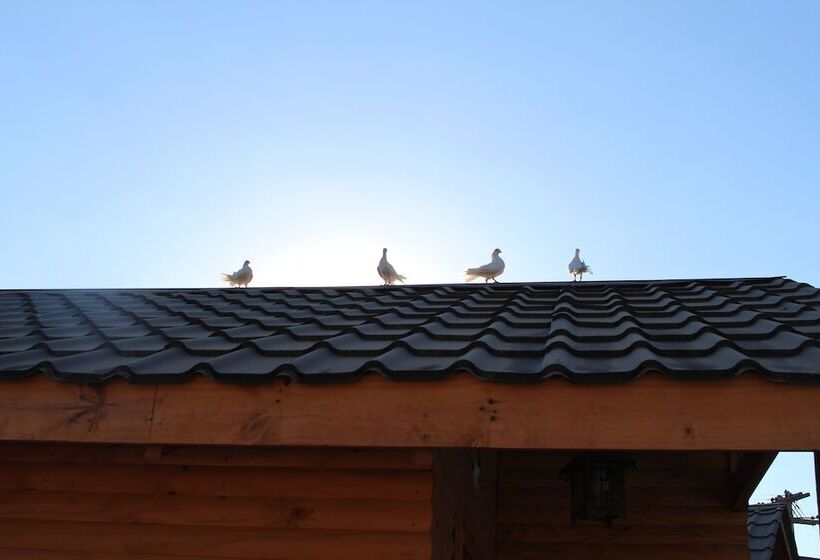 Hotel Barros Wellness & Spa