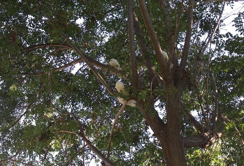 Hotel Barros Wellness & Spa