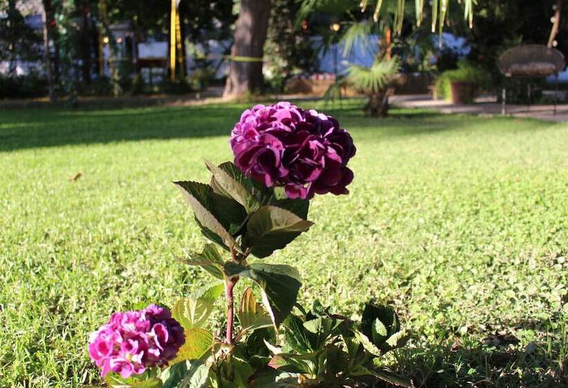 Hotel Barros Wellness & Spa