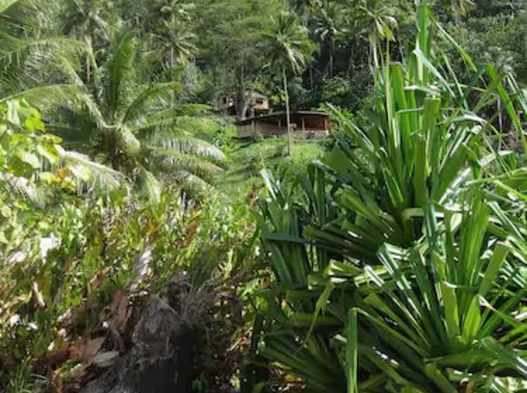 هتل Fare Oviri Lodge