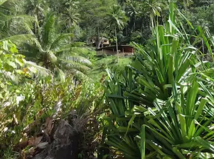 هتل Fare Oviri Lodge