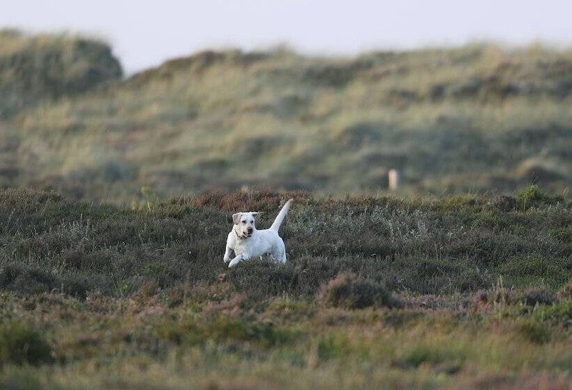 Отель Landhaus Severin S