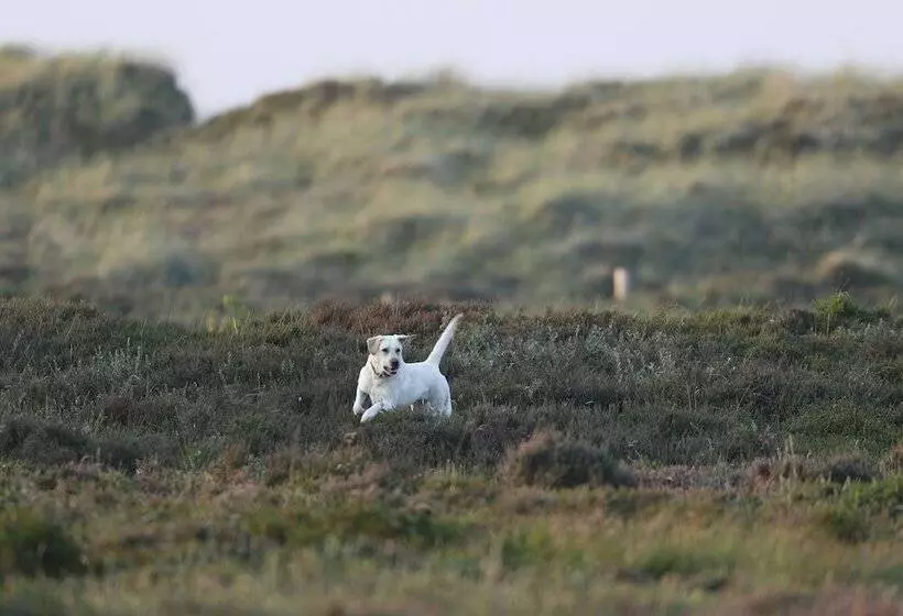 ホテル Landhaus Severin S