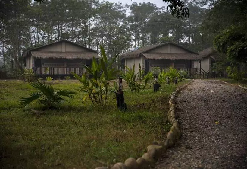 هتل Sarang Wildlife Sanctuary