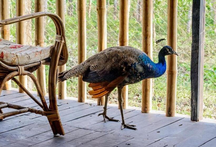 هتل Sarang Wildlife Sanctuary