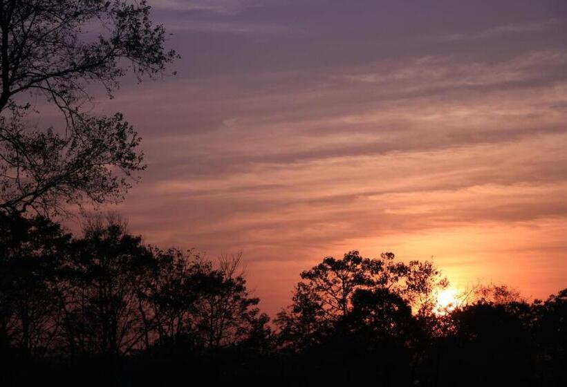 هتل Sarang Wildlife Sanctuary