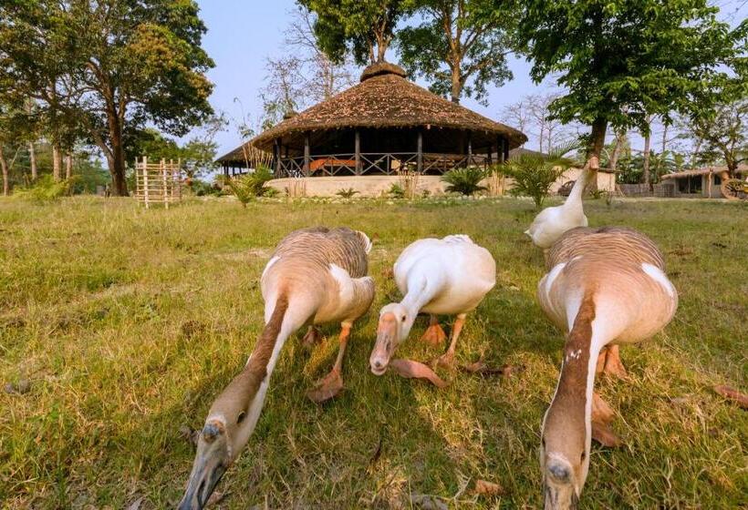 هتل Sarang Wildlife Sanctuary