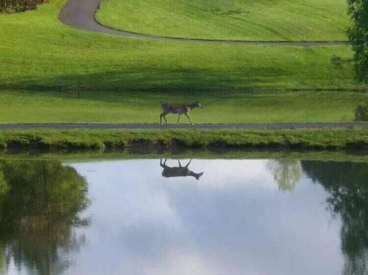 호텔 Woodlake Lodge Golf And Country Club