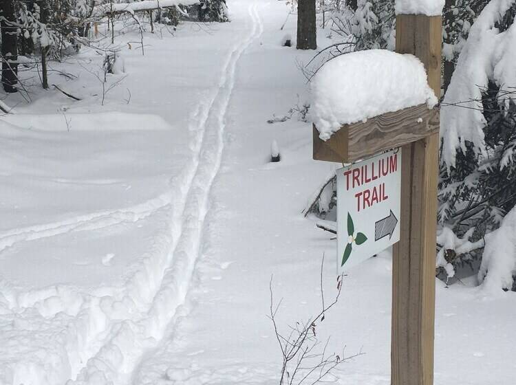 Robert Frost Mountain Cabins