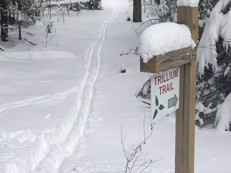 Robert Frost Mountain Cabins