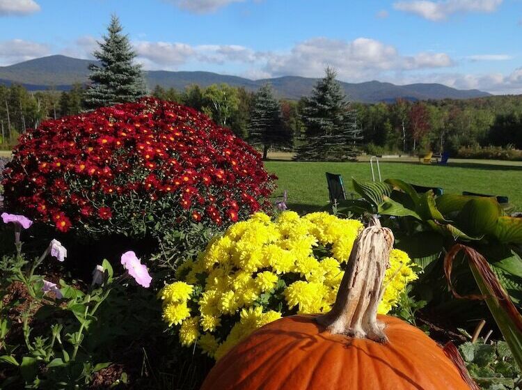 Robert Frost Mountain Cabins