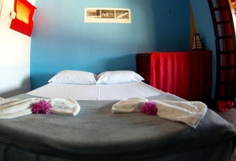 Surf Camp Pipa Hostel