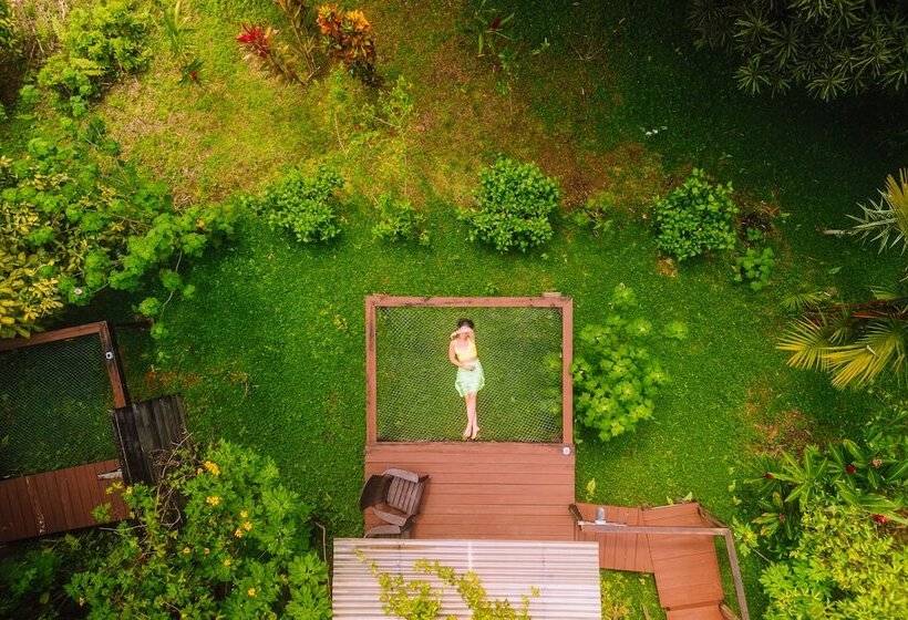 Bambuda Lodge Hostel