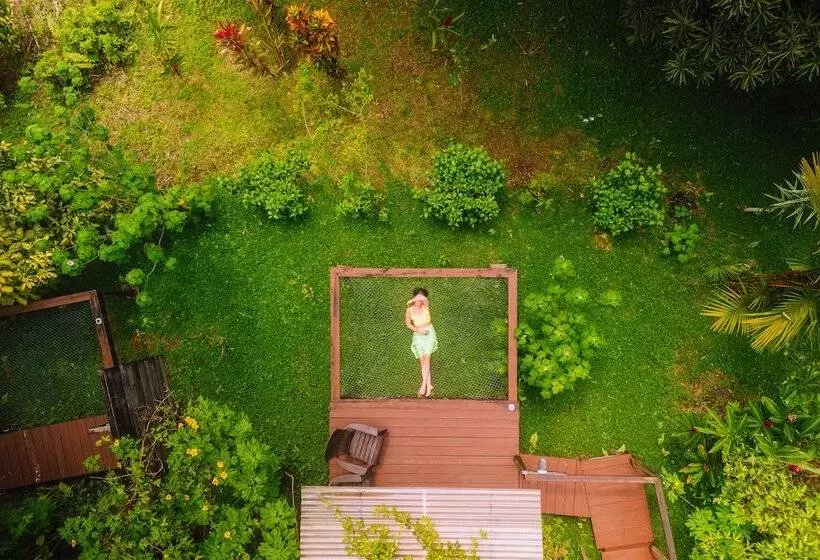 Bambuda Lodge   Hostel