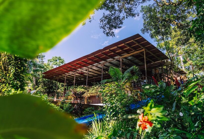 Bambuda Lodge Hostel