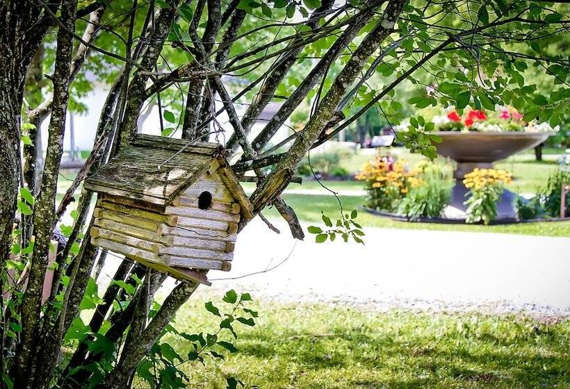 צימר Auberge Papillon Lune