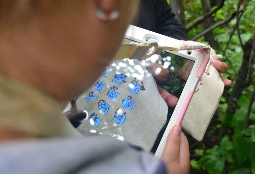 צימר Auberge Papillon Lune