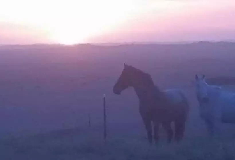 High View Family Cottages