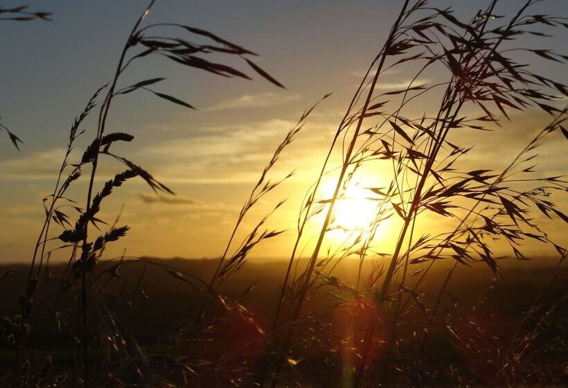 High View Family Cottages
