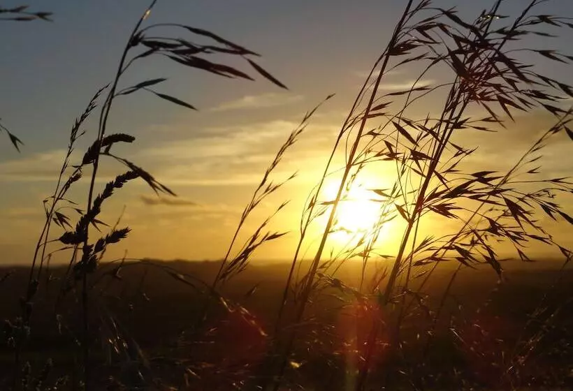High View Family Cottages