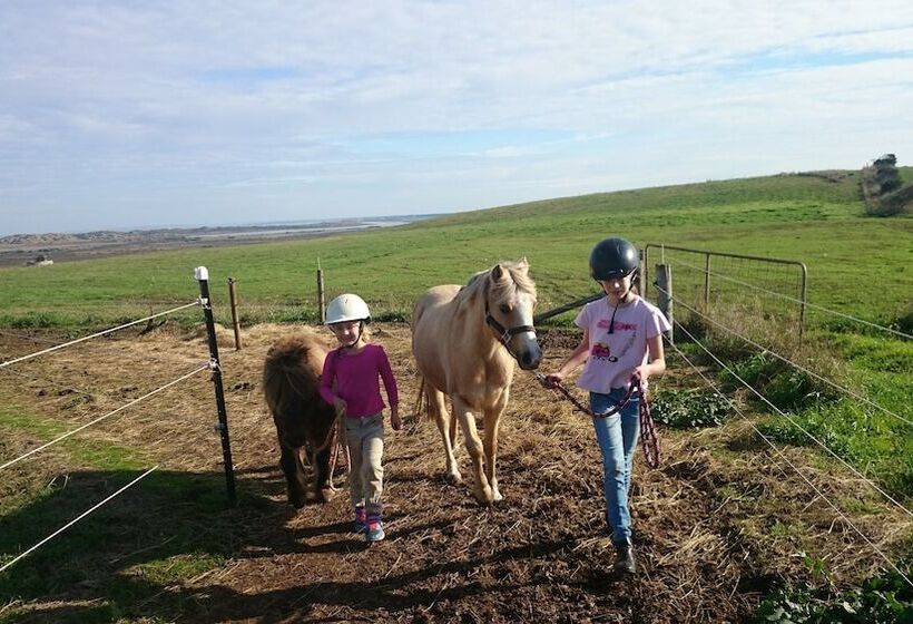 High View Family Cottages