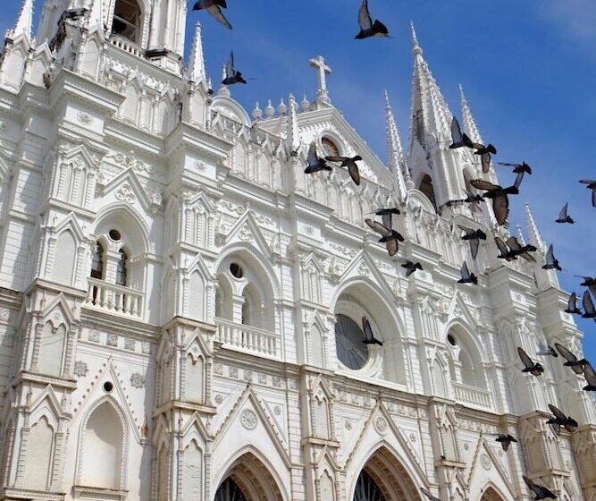 Hostal Casa Verde Hostel