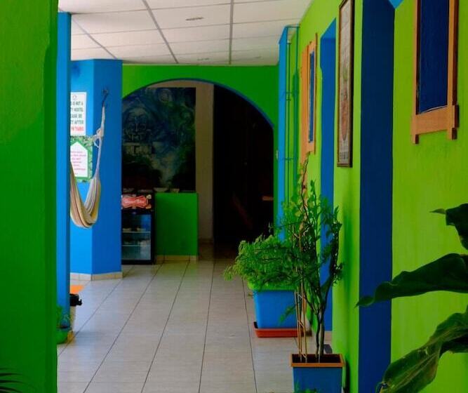 Hostal Casa Verde Hostel