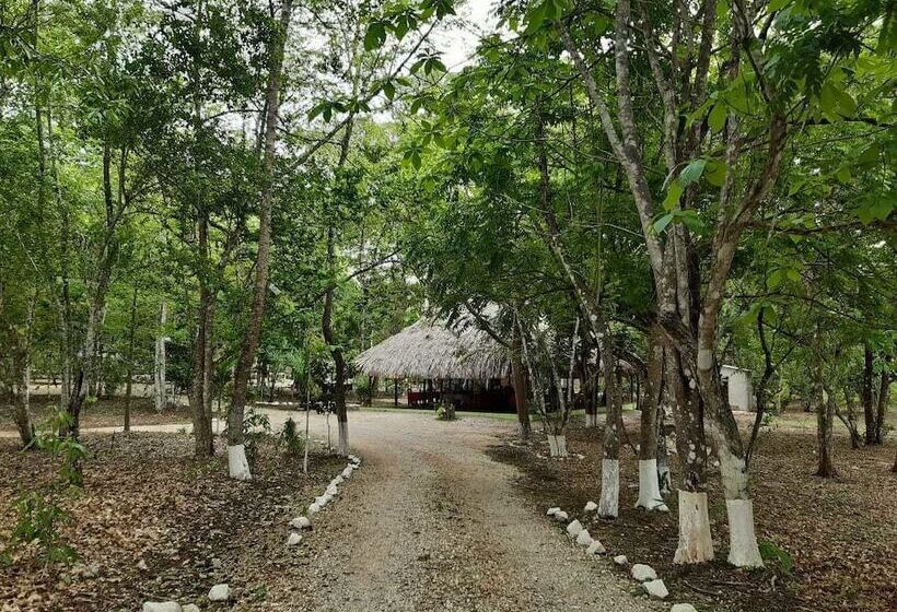 هتل Campestre Santa Ana