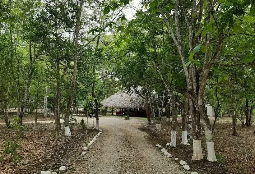 ホテル Campestre Santa Ana