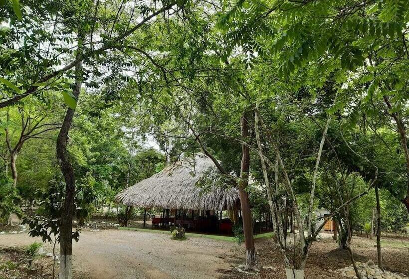 هتل Campestre Santa Ana