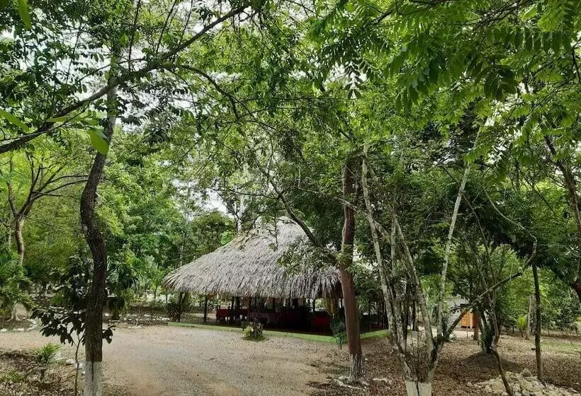 ホテル Campestre Santa Ana