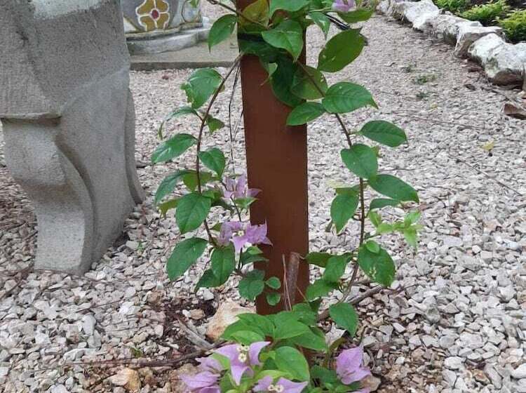 هتل Campestre Santa Ana