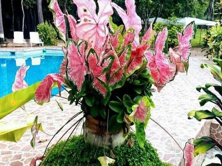 هتل Campestre Santa Ana