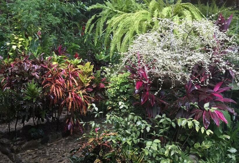 Отель Sierra Sanjuan Ecolodge