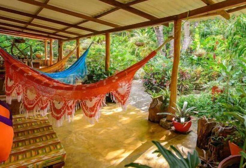 Отель Sierra Sanjuan Ecolodge