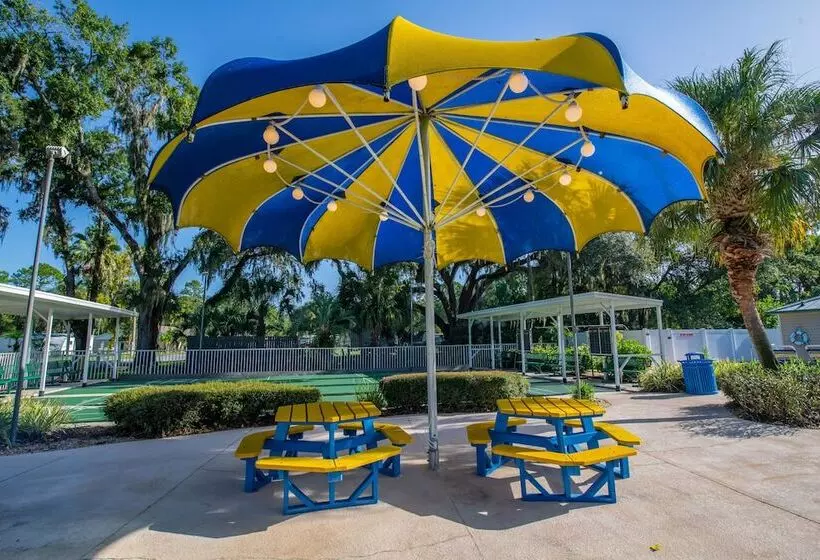 ホテル Tampa East Rv Resort  Campground