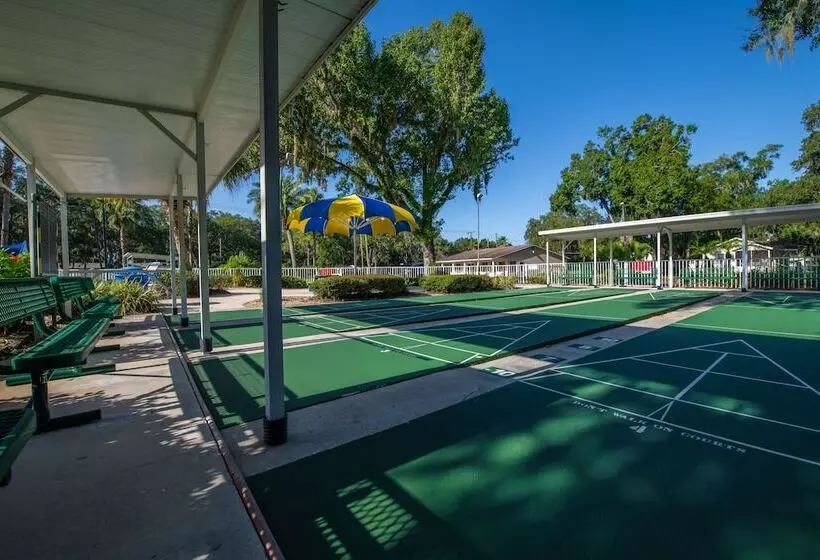 ホテル Tampa East Rv Resort  Campground