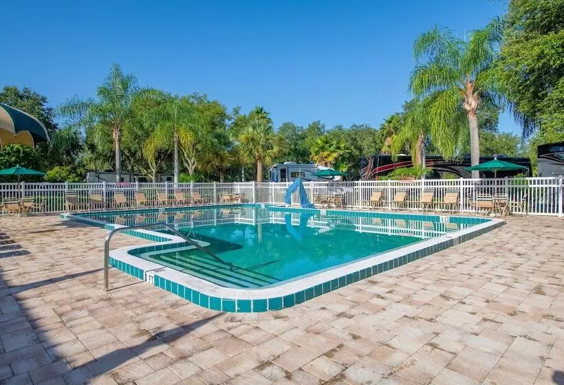 ホテル Tampa East Rv Resort  Campground