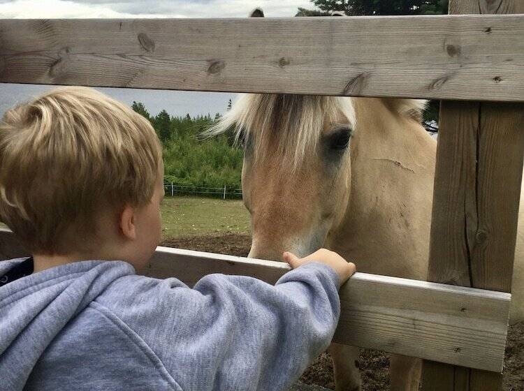 Отель Telemark Camping & Inn Campground Cabins