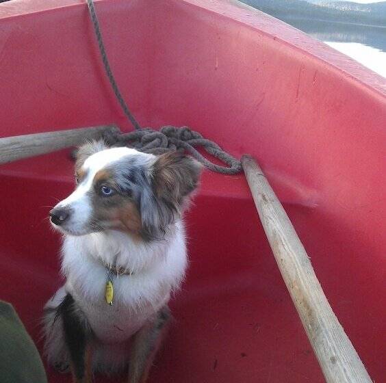 Отель Telemark Camping & Inn Campground Cabins