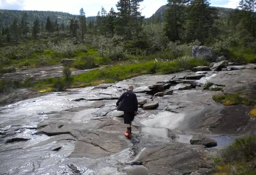 ホテル Telemark Camping & Inn Campground Cabins