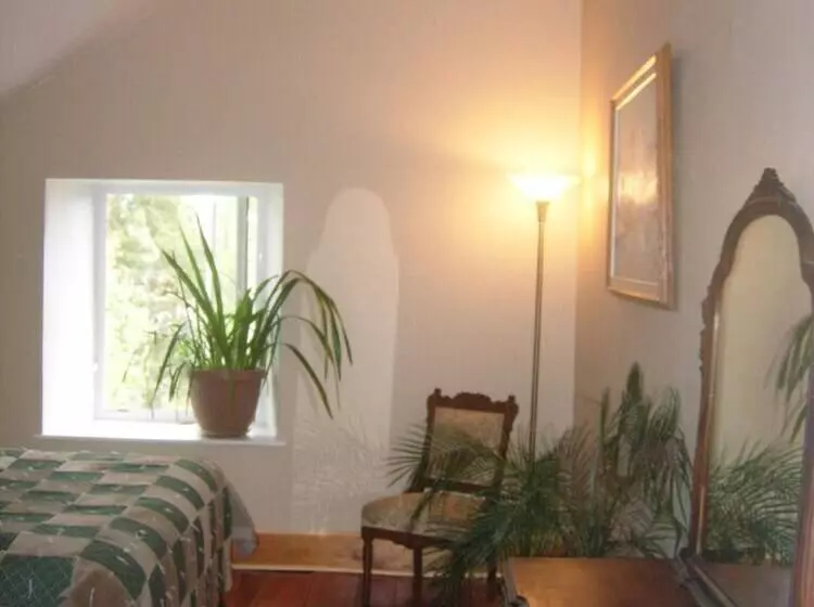 Koch Haus Bed & Breakfast
