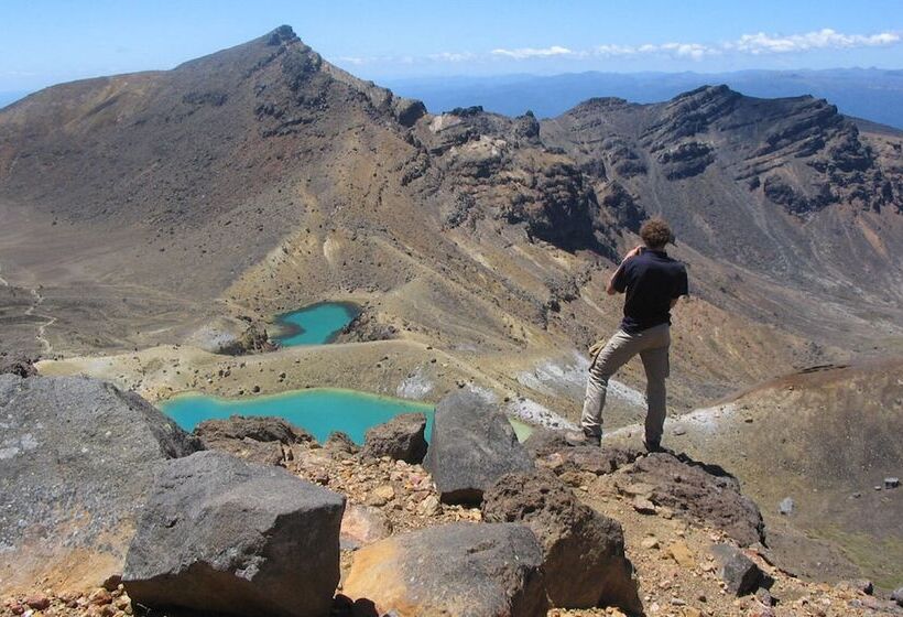 Lupin Lodge Bed And Breakfast