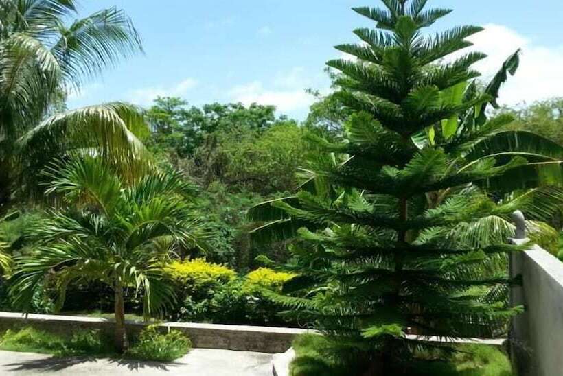 پانسیون Corosol Apartments