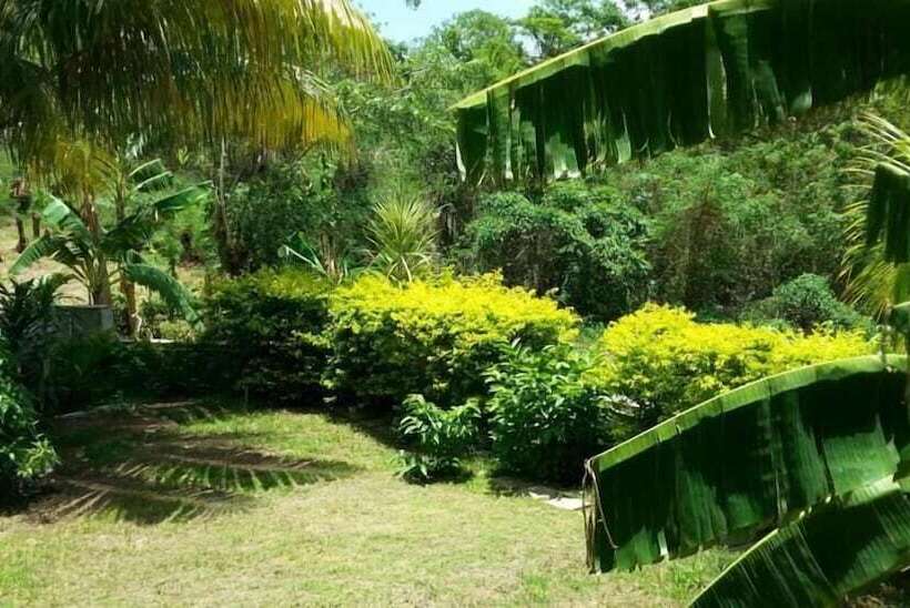 پانسیون Corosol Apartments