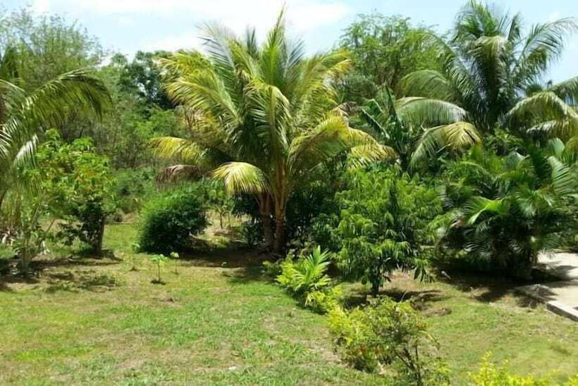 پانسیون Corosol Apartments